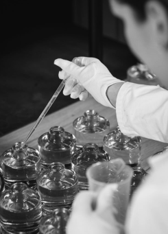 Perfume bottle 2